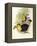 Short-Billed Toucan-John Gould-Framed Premier Image Canvas