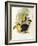 Short-Billed Toucan-John Gould-Framed Giclee Print