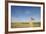 Short-Eared Owl (Asio Flammeus) Perched on Post, Wallasea Island Wild Coast Project, Essex, UK-Terry Whittaker-Framed Photographic Print