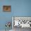 Short eared owl resting on fence post-Michael Scheufler-Framed Premier Image Canvas displayed on a wall
