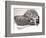 Short Sighted Hedgehog-null-Framed Photographic Print