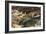 Short Tailed Shrew and Common Shrew-Louis Agassiz Fuertes-Framed Giclee Print