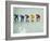 Short Track Speed Skaters at the Starting Line-Steven Sutton-Framed Photographic Print