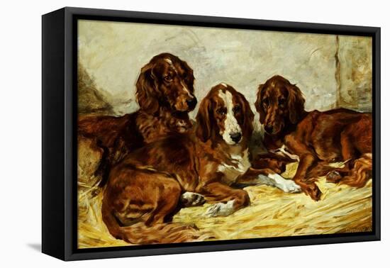 Shot and His Friends - Three Irish Red and White Setters, 1876-John Emms-Framed Premier Image Canvas