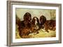 Shot and His Friends - Three Irish Red and White Setters, 1876-John Emms-Framed Giclee Print