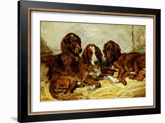 Shot and His Friends - Three Irish Red and White Setters, 1876-John Emms-Framed Giclee Print