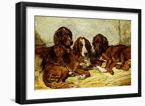 Shot and His Friends - Three Irish Red and White Setters, 1876-John Emms-Framed Giclee Print