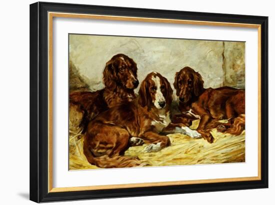 Shot and His Friends - Three Irish Red and White Setters, 1876-John Emms-Framed Giclee Print