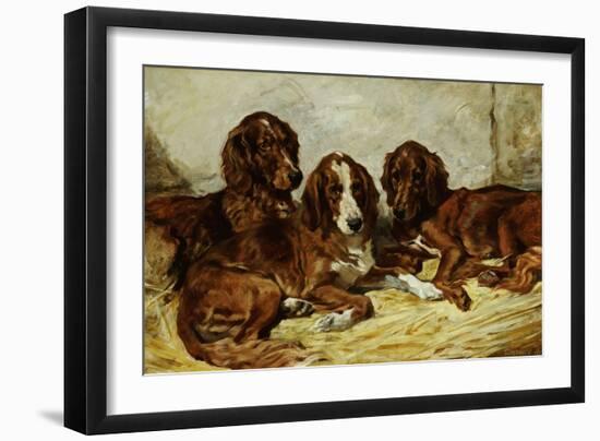 Shot and His Friends, Three Irish Red and White Setters, 1876-John Emms-Framed Giclee Print