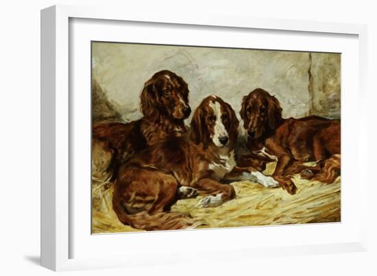 Shot and His Friends, Three Irish Red and White Setters, 1876-John Emms-Framed Giclee Print