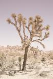 Western Hide-Shot by Clint-Photographic Print