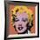 Shot Orange Marilyn, c.1964-Andy Warhol-Framed Giclee Print