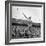 Shot Putter Francis Delaney in Mid-Throw in an Attempt to Qualify During the U.S. Olympic Tryouts-Ed Clark-Framed Premium Photographic Print