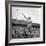 Shot Putter Francis Delaney in Mid-Throw in an Attempt to Qualify During the U.S. Olympic Tryouts-Ed Clark-Framed Premium Photographic Print