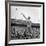 Shot Putter Francis Delaney in Mid-Throw in an Attempt to Qualify During the U.S. Olympic Tryouts-Ed Clark-Framed Premium Photographic Print