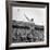 Shot Putter Francis Delaney in Mid-Throw in an Attempt to Qualify During the U.S. Olympic Tryouts-Ed Clark-Framed Premium Photographic Print