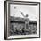 Shot Putter Francis Delaney in Mid-Throw in an Attempt to Qualify During the U.S. Olympic Tryouts-Ed Clark-Framed Premium Photographic Print