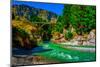 Shotover River, Queenstown, South Island, New Zealand, Pacific-Laura Grier-Mounted Photographic Print