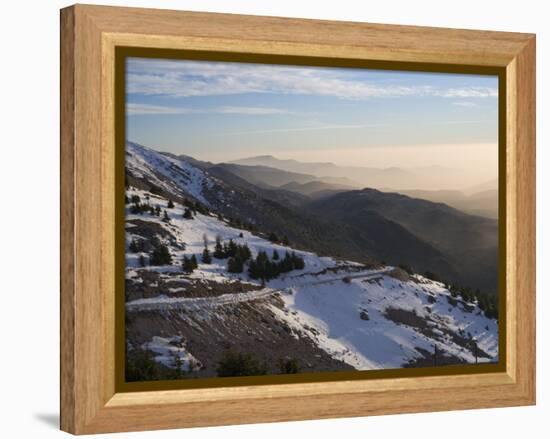 Shouf Cedar Nature Reserve, Lebanon Moutains, Lebanon-Ivan Vdovin-Framed Premier Image Canvas