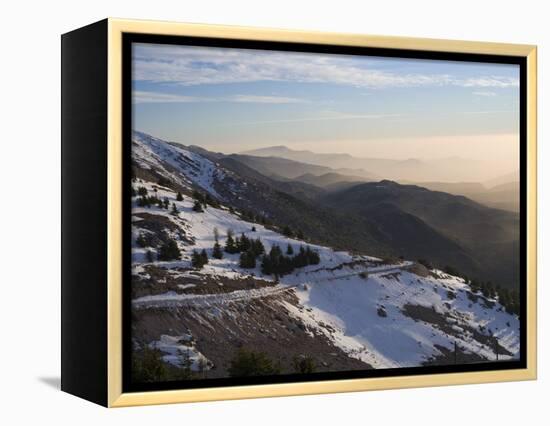 Shouf Cedar Nature Reserve, Lebanon Moutains, Lebanon-Ivan Vdovin-Framed Premier Image Canvas