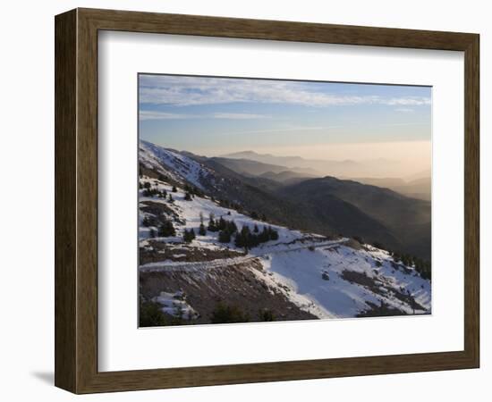 Shouf Cedar Nature Reserve, Lebanon Moutains, Lebanon-Ivan Vdovin-Framed Photographic Print