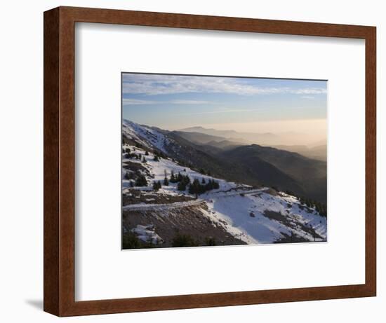 Shouf Cedar Nature Reserve, Lebanon Moutains, Lebanon-Ivan Vdovin-Framed Photographic Print