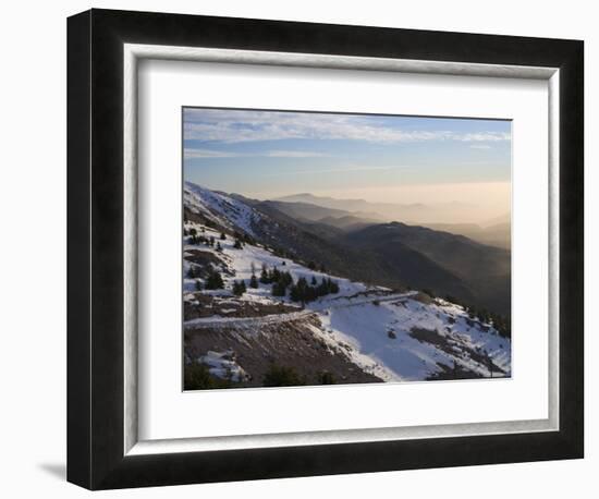 Shouf Cedar Nature Reserve, Lebanon Moutains, Lebanon-Ivan Vdovin-Framed Photographic Print