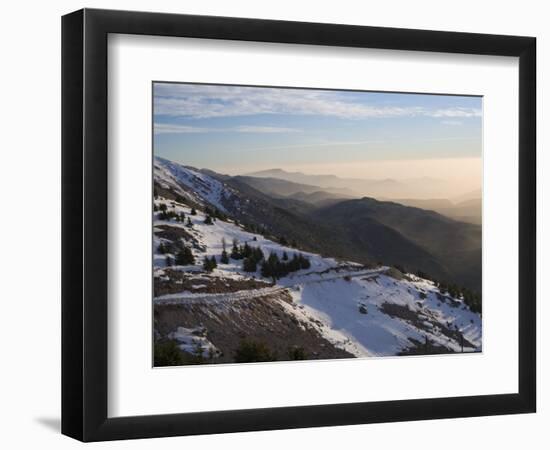 Shouf Cedar Nature Reserve, Lebanon Moutains, Lebanon-Ivan Vdovin-Framed Photographic Print