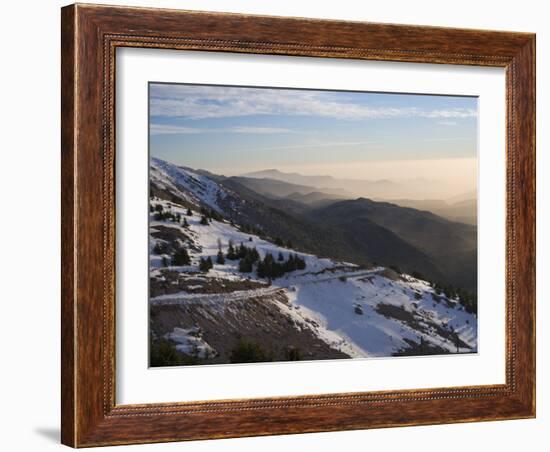 Shouf Cedar Nature Reserve, Lebanon Moutains, Lebanon-Ivan Vdovin-Framed Photographic Print