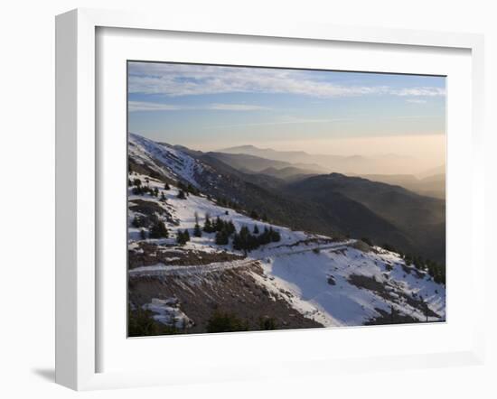 Shouf Cedar Nature Reserve, Lebanon Moutains, Lebanon-Ivan Vdovin-Framed Photographic Print