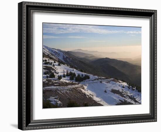 Shouf Cedar Nature Reserve, Lebanon Moutains, Lebanon-Ivan Vdovin-Framed Photographic Print