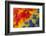 Shoulder, Coverts Feathers of the Scarlet Macaw-Darrell Gulin-Framed Photographic Print