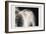 Shoulder-null-Framed Premium Giclee Print