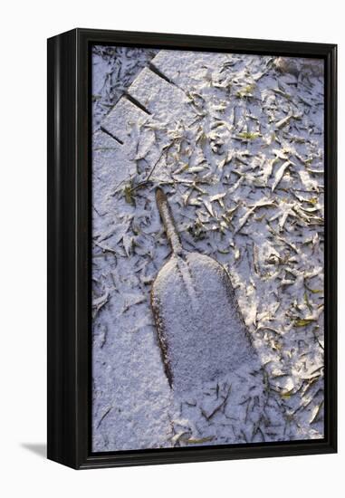 Shovel Buried under Leaves in the Snow-Natalie Tepper-Framed Stretched Canvas