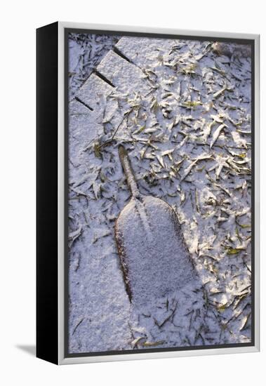 Shovel Buried under Leaves in the Snow-Natalie Tepper-Framed Stretched Canvas