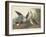 Shoveller Duck, 1836-John James Audubon-Framed Giclee Print
