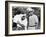 Show Boat, Hattie McDaniel, Paul Robeson, 1936-null-Framed Photo