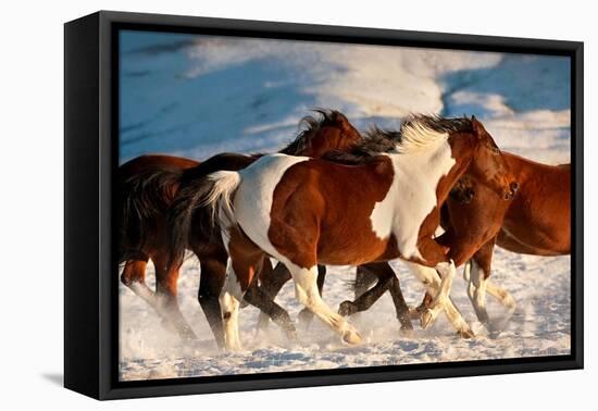 Show Runners-Lisa Dearing-Framed Premier Image Canvas