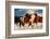 Show Runners-Lisa Dearing-Framed Photographic Print