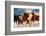 Show Runners-Lisa Dearing-Framed Photographic Print