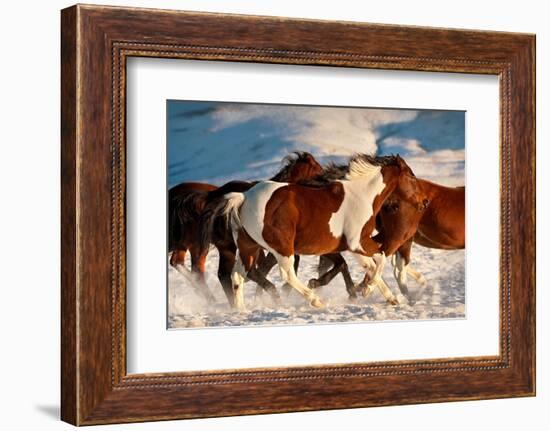 Show Runners-Lisa Dearing-Framed Photographic Print