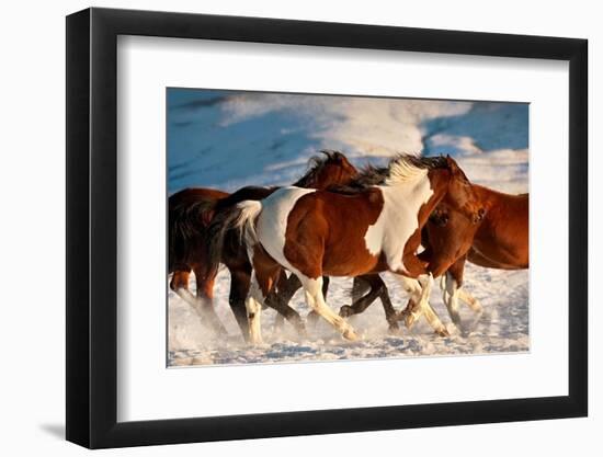 Show Runners-Lisa Dearing-Framed Photographic Print