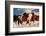 Show Runners-Lisa Dearing-Framed Photographic Print