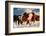 Show Runners-Lisa Dearing-Framed Photographic Print