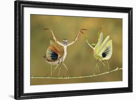 Show Time-Hasan Baglar-Framed Giclee Print