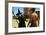 Showdown-James W. Johnson-Framed Giclee Print