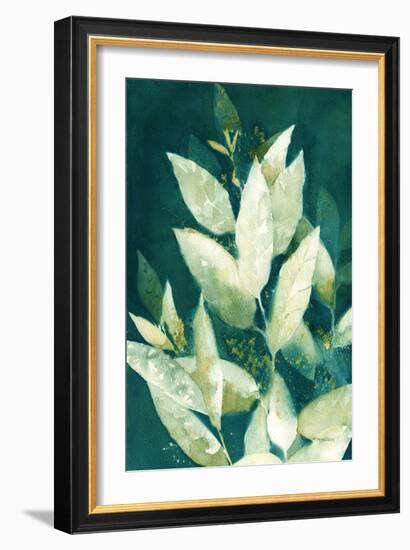 Shower of Gold II Light-Kathy Ferguson-Framed Art Print