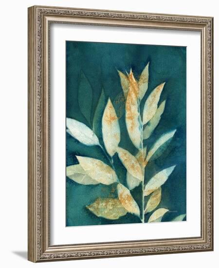 Shower of Gold III-Kathy Ferguson-Framed Art Print