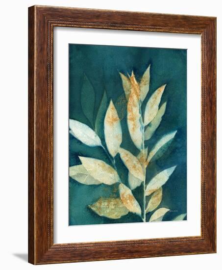 Shower of Gold III-Kathy Ferguson-Framed Art Print