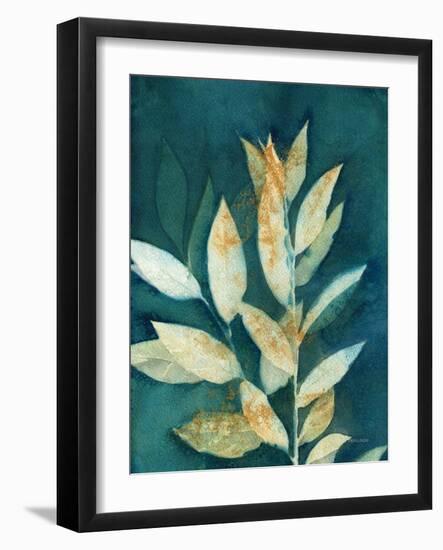 Shower of Gold III-Kathy Ferguson-Framed Art Print